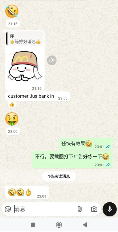 WhatsApp 聊天记录截图，展示客户对紫微斗数和风水布局效果的惊叹