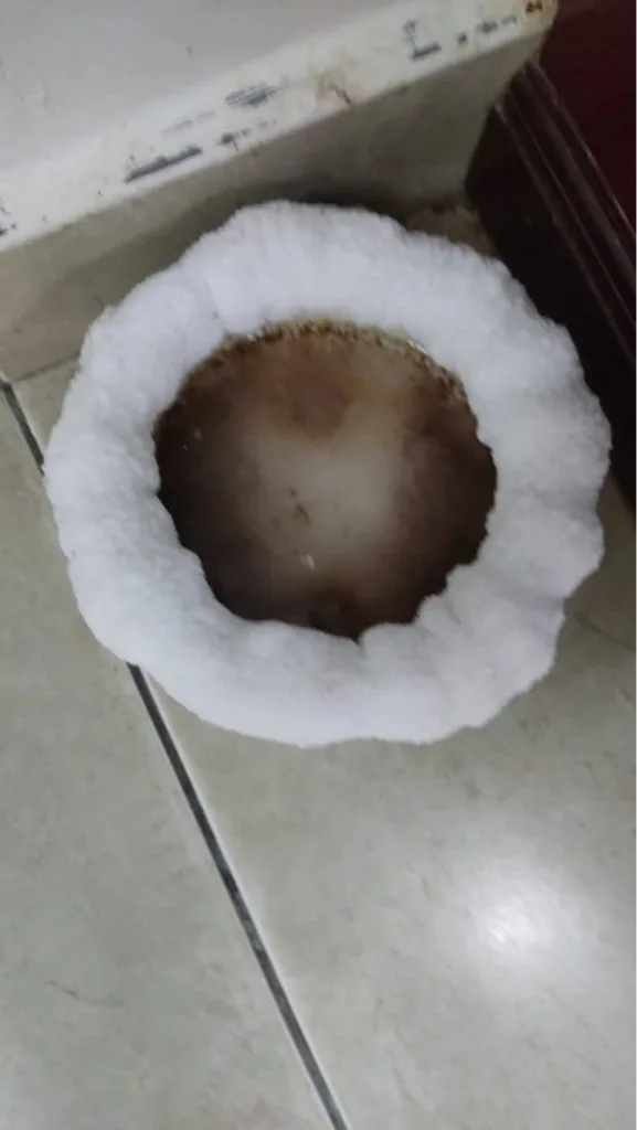 安忍水摆放一段时间后，碗口边缘出现大量白色盐分结晶，象征正在成功化解五黄煞与病气