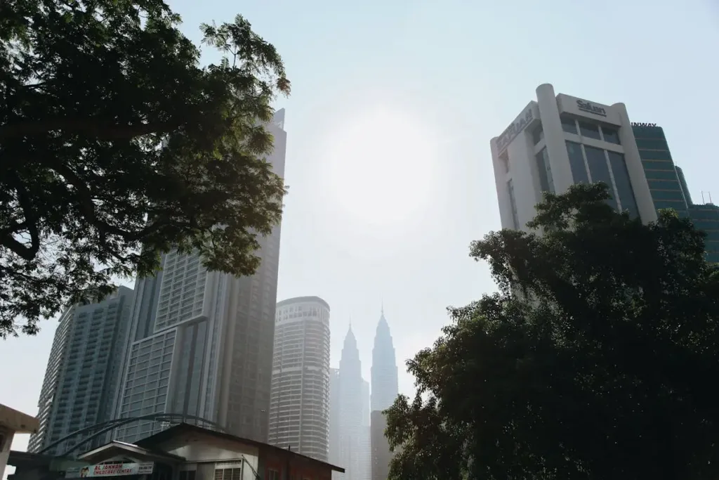 吉隆坡商业风水:外局环境定基调 - 猫哥风水|马来西亚风水・紫微斗数・奇门遁甲 透过树木仰望吉隆坡双峰塔(KLCC)与摩天大楼,象征商业风水中“外局定基调”的重要性,展示马来西亚风水师对宏观气场的分析。