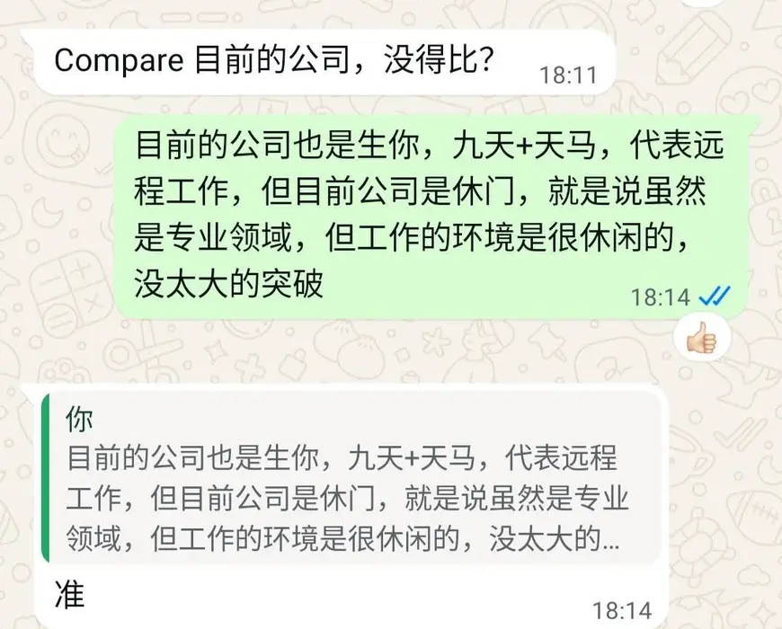 奇门遁甲职场案例:精准断出远程工作与公司现状 - 猫哥风水|马来西亚风水・紫微斗数・奇门遁甲 WhatsApp对话截图,显示马来西亚风水师猫哥利用奇门遁甲盘面中的“九天+天马”符号,精准推断出客户目前从事远程工作,但因临“休门”导致环境安逸缺乏突破,客户回复“准”表示认可。