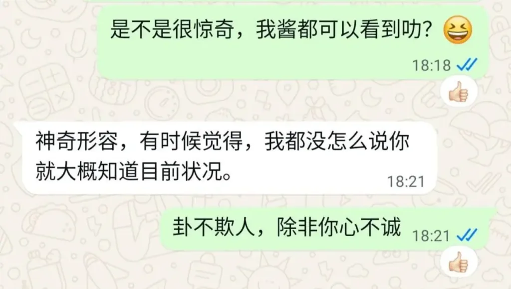 客户真实反馈:没开口就被说中现状 - 猫哥风水|马来西亚风水・紫微斗数・奇门遁甲 WhatsApp客户好评截图,客户惊叹猫哥在信息极少的情况下精准说中现状,形容奇门遁甲预测非常神奇。猫哥回复:“卦不欺人,除非你心不诚”。