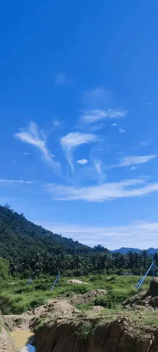 蓝天中出现的酷似“朱雀”或凤凰形状的云朵。在风水堪舆途中，这属于吉利的“外应”（Omen）。猫哥断定：虽不宜种生基，但此乃旺财之兆，预示客户的养鱼生意将大红大紫。