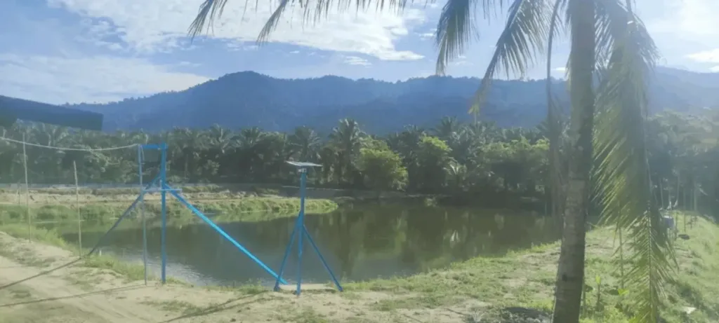 猫哥在园林鱼塘现场拍摄的全景图，背景是连绵的山脉。堪舆生基风水时，首要观察“峦头”，看远处的山龙来路是否有力，以及面前的水口是否聚气。