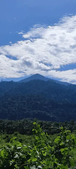 垂直视角的远山山峰与蓝天。在风水选址中，猫哥正在观察远处山峰（龙脉）的形态与走向，以判断气脉是否延伸至鱼塘所在地。