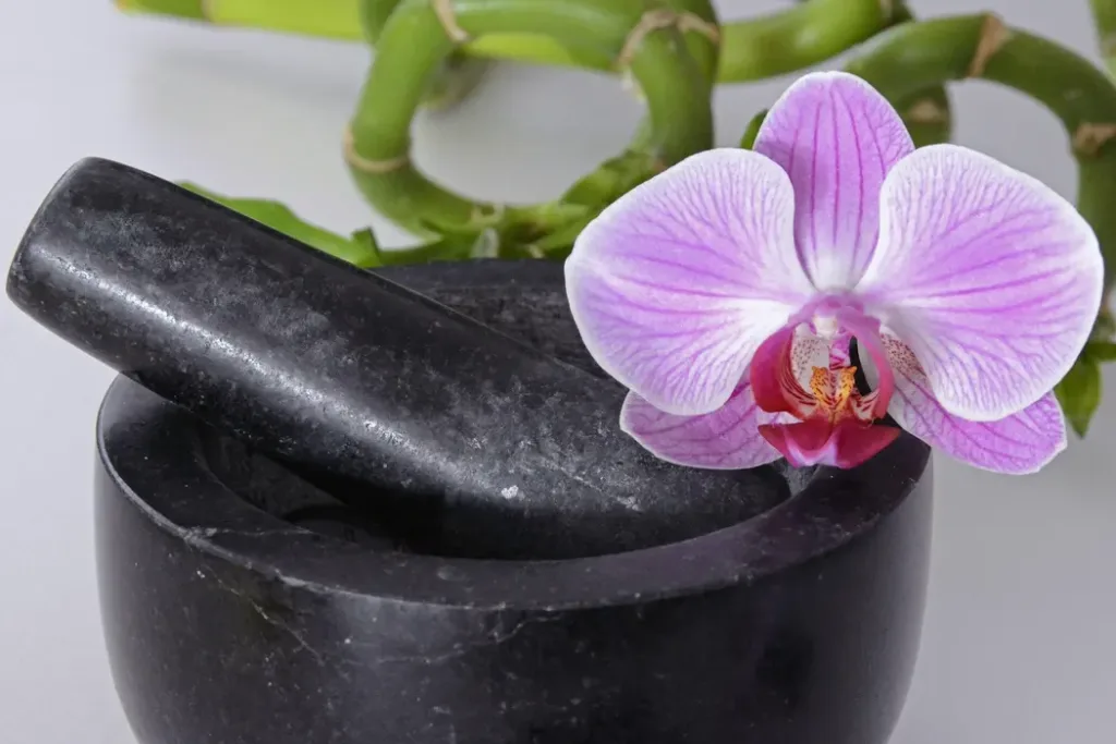 Lucky Bamboo and Orchid Feng Shui - 猫哥风水|马来西亚风水・紫微斗数・奇门遁甲 A pink orchid flower and lucky bamboo stalks, popular Chinese lucky objects for growth and peace.