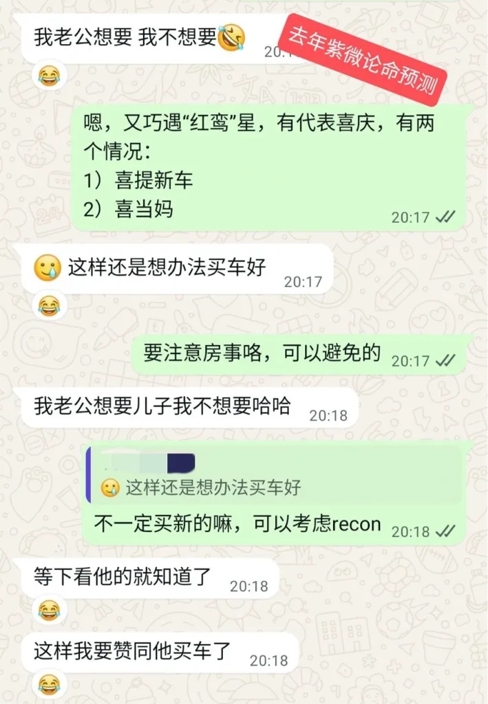 WhatsApp聊天记录截图，展示猫哥准确预测客户2025年流年运势，客户反馈避开了怀孕但应验了买车