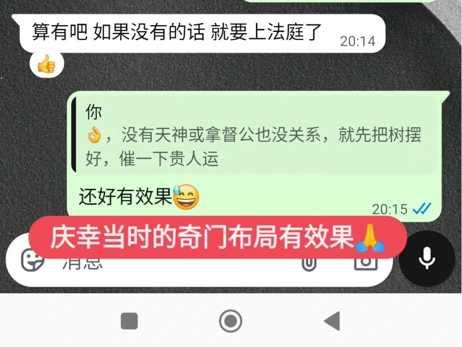 奇门布局 WhatsApp 截图，猫哥建议调整植物方向以加强贵人运，辅助官非谈判顺利进行。